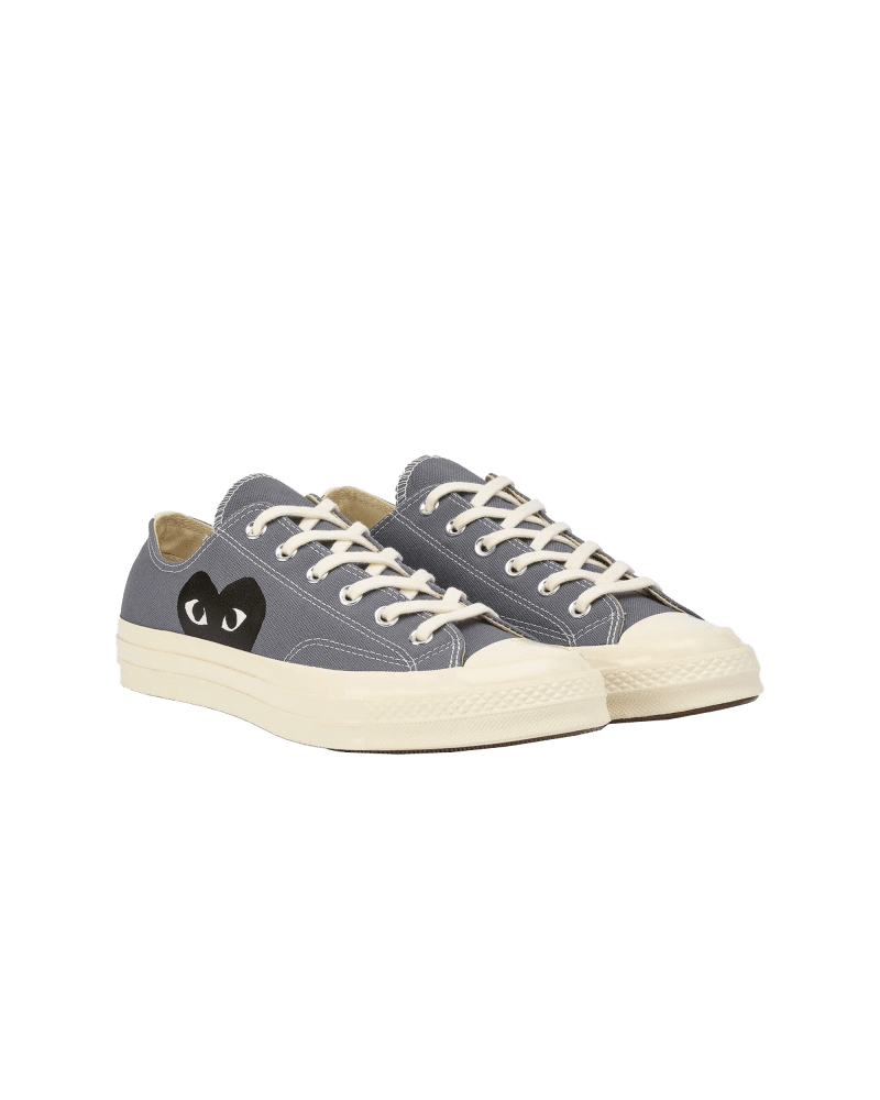 CHUCK TAYLOR ALL STAR LOW TOP2