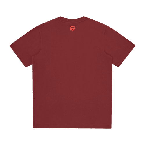 IC24350 BURGUNDY 02